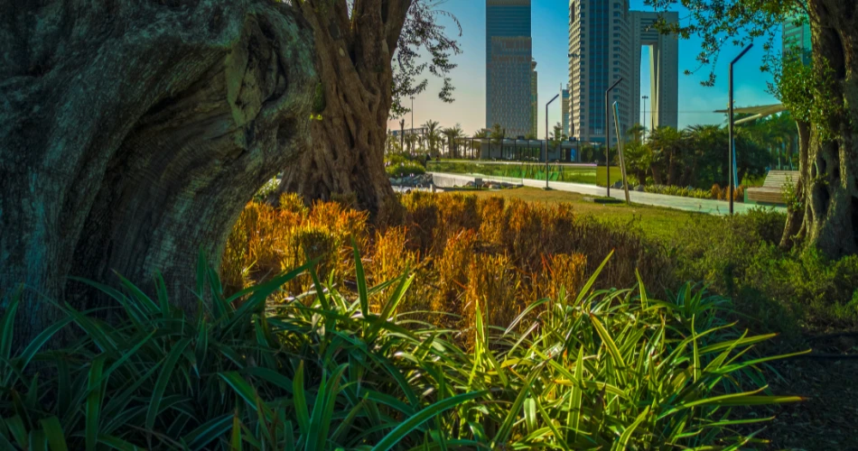 أفضل 5 وجهات سياحية بالقرب من السالمية، مدينة الكويت