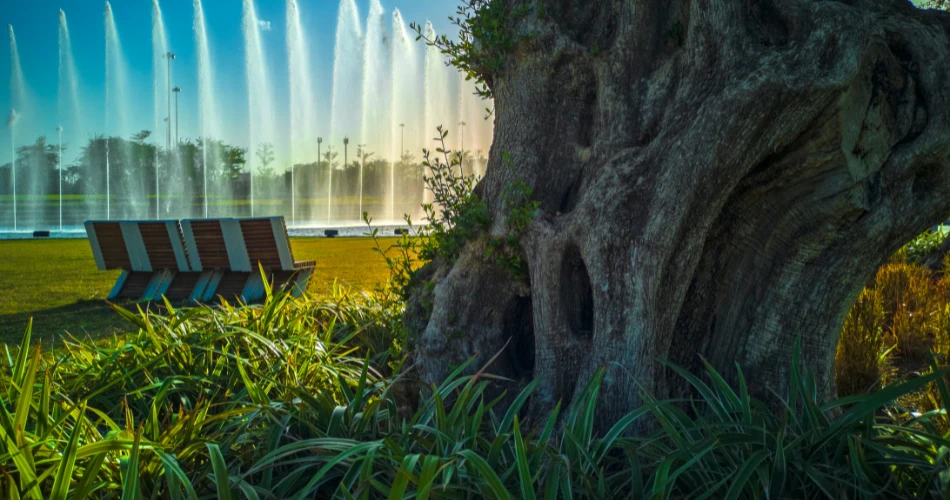 Evening Life in Kuwait City: Things to Do Near Fahd Al Salem Street
