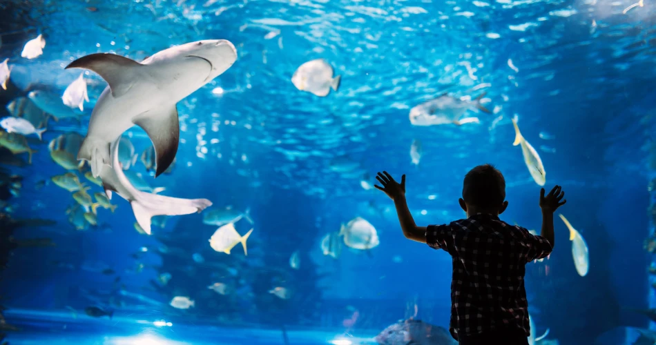 Top Photo Spots in Kuwait City for Tourists